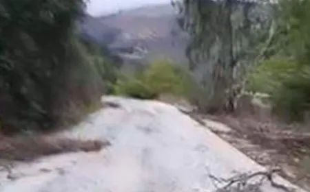 شبان يدخلون بلدة محتلة في الجنوب على إيقاع أغنية شهيرة