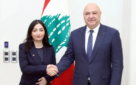 ألمانيا تؤكد دعمها للإصلاحات اللبنانية وتحذر من فراغ أمني