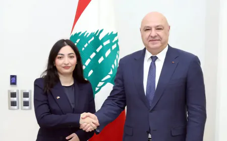 ألمانيا تؤكد دعمها للجيش والدولة وتتناول قضايا الحدود الجنوبية
