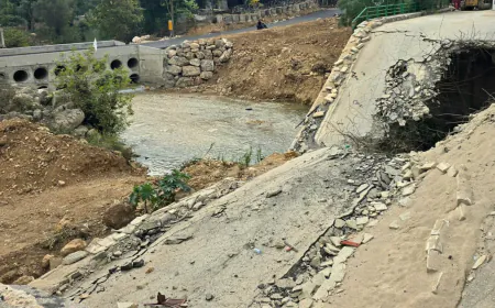 جسور مؤقتة لربط المناطق المنقطعة في الجنوب بعد تدمير البنية التحتية