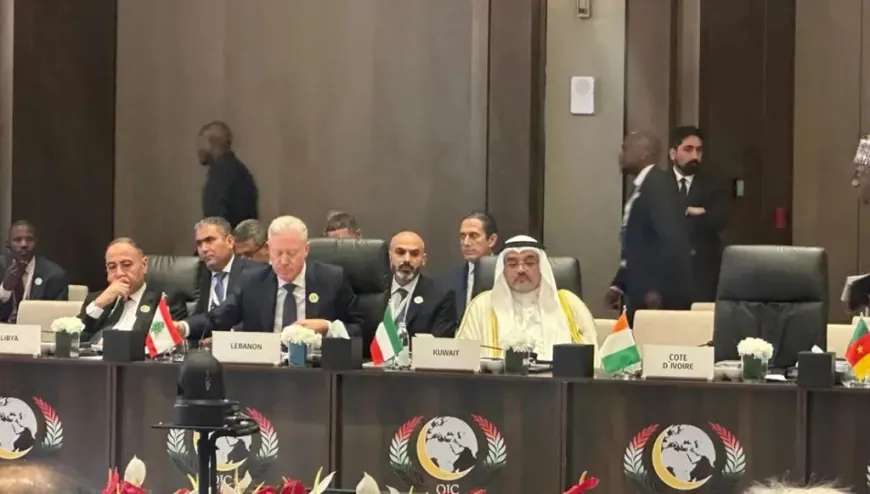 رجي أمام "منظمة التعاون الإسلامي": ندعو إيران وأذرعها إلى وقف الاعتداءات على دول الخليج والأردن