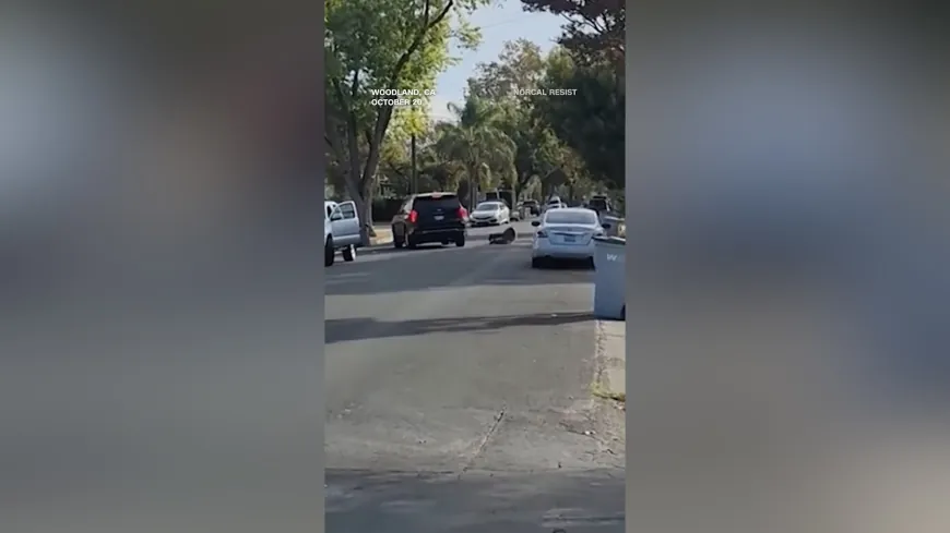 فيديو يوثق لحظة دهس رجل من قبل سيارة خلال عملية أمنية
