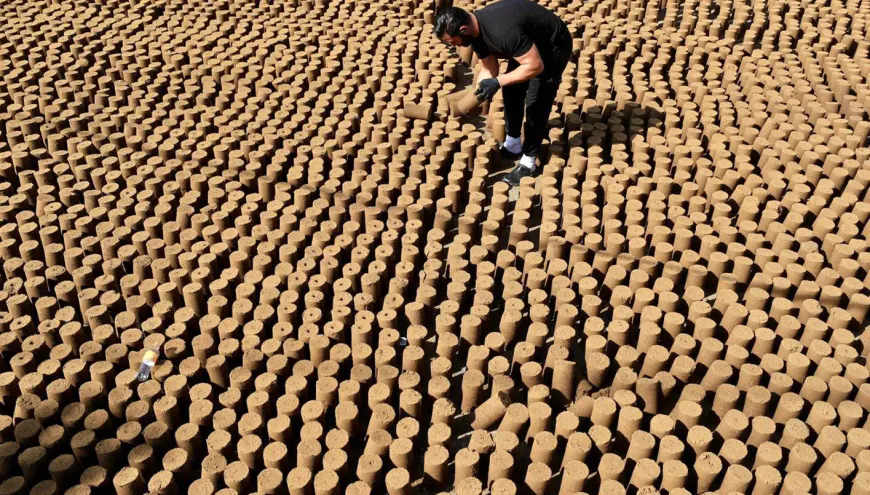 جفت الزيتون... من نفايات المعاصر إلى مصدر رزق واعد