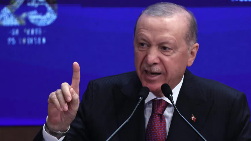 أردوغان: تركيا ملتزمة بحماية مصالحها في شرق المتوسط