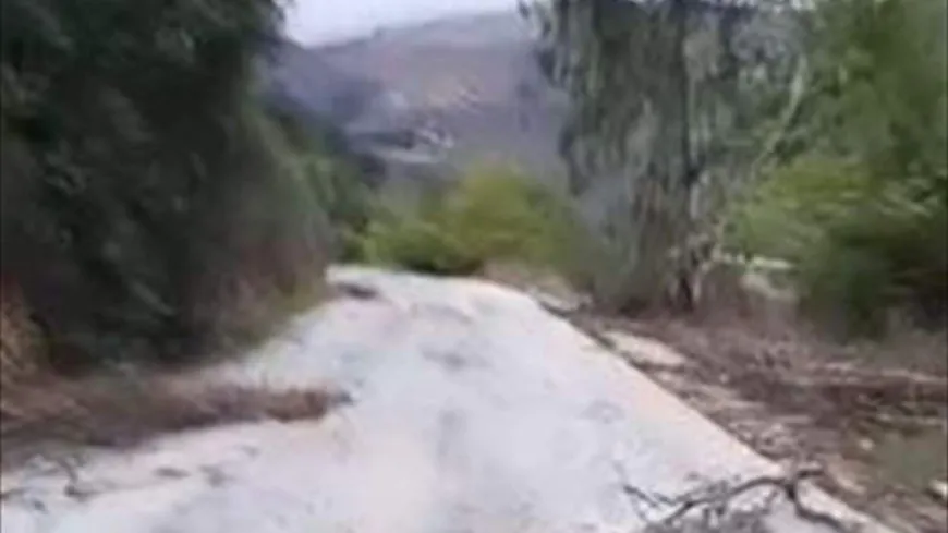 شبان يدخلون بلدة محتلة في الجنوب على إيقاع أغنية شهيرة